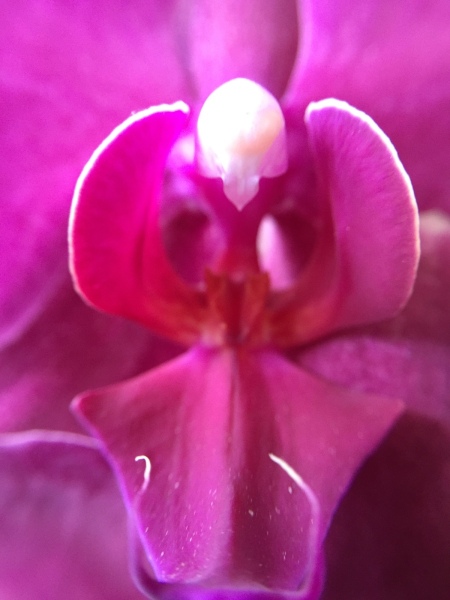 White Around the Edges