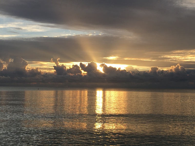 Sun Spotlights